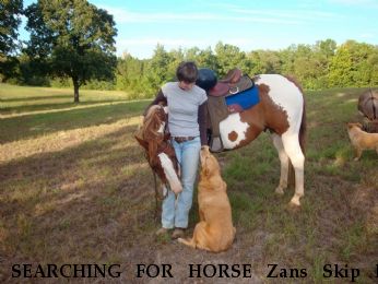 SEARCHING FOR HORSE Zans Skip N Neon, $1000.00 REWARD  Near Blue Ridge, TX, 75424-6325